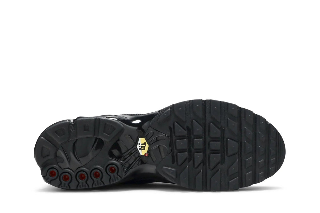 Nike Air Max Plus TN Triple Black - Premium Leather Sneaker with Max Air Cushioning