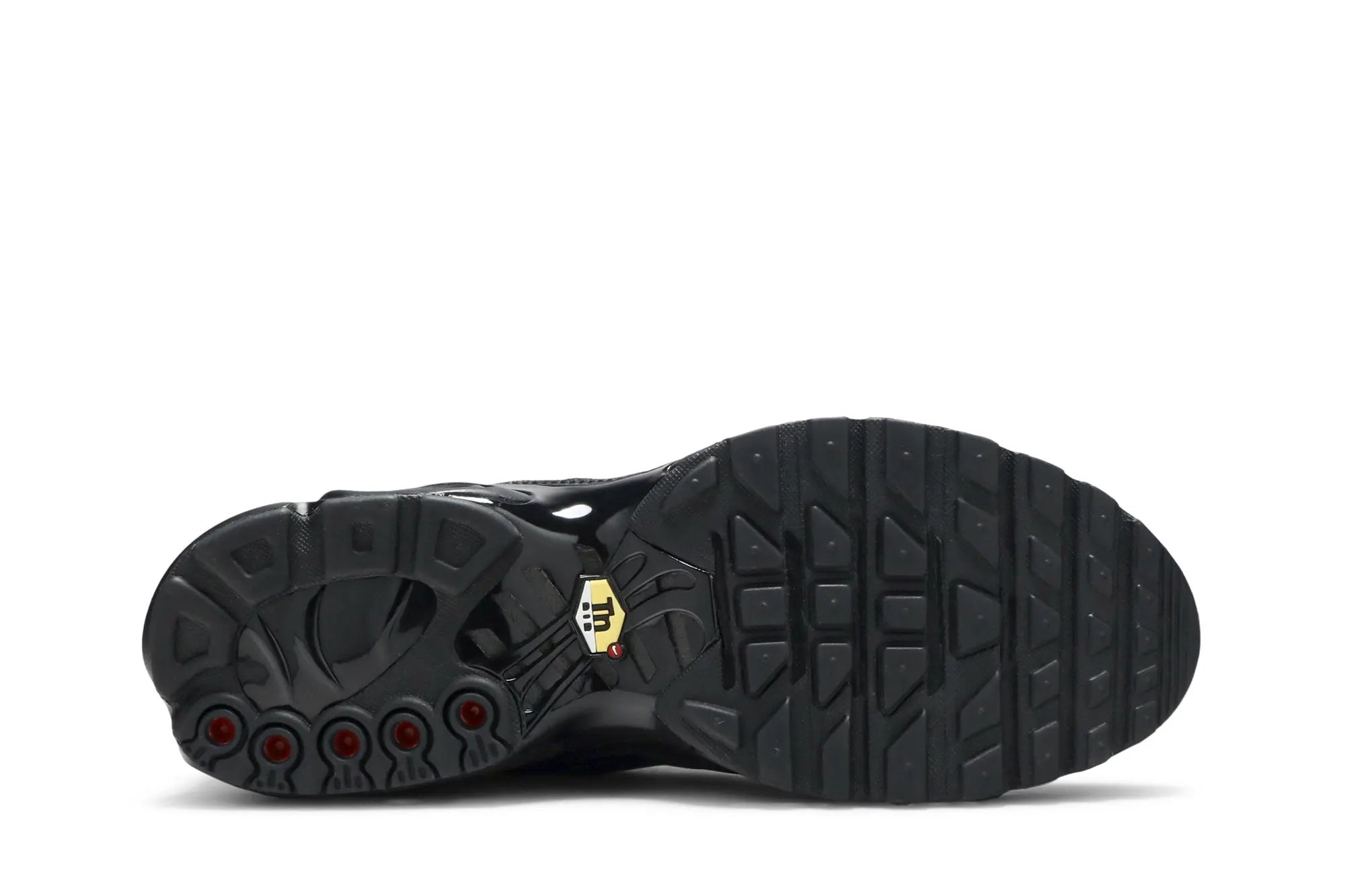 Nike Air Max Plus TN Triple Black - Premium Leather Sneaker with Max Air Cushioning