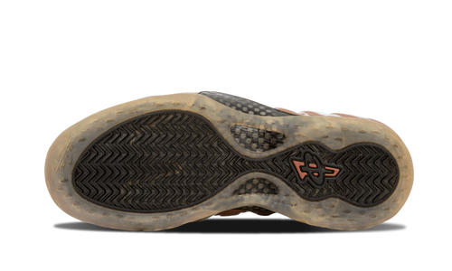 Air Foamposite One "COPPER" 314996 081